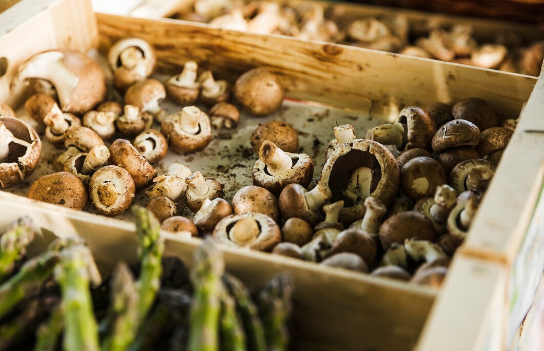 Jak ekstrakty z grzybów mogą wzbogacić dietę?